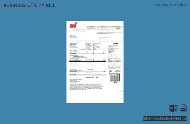 USA Connecticut Beispiel einer Stromrechnung der United Illuminating Company (Vorschau)
